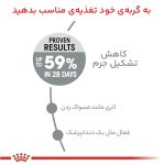 غذا خشک گربه رویال کنین مدل دنتال  1.5 کیلوگرم - تصویر 3