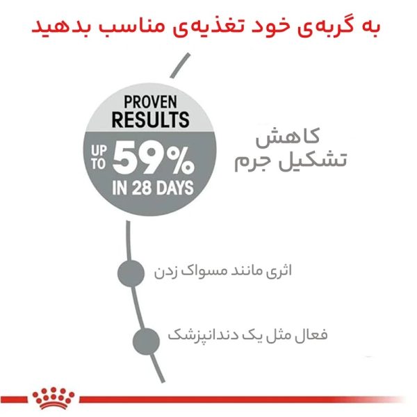 غذا خشک گربه رویال کنین مدل دنتال  1.5 کیلوگرم - تصویر 3