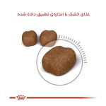 غذا خشک گربه رویال کنین مدل دنتال  1.5 کیلوگرم - تصویر 2