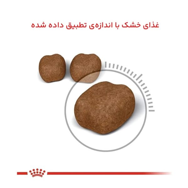 غذا خشک گربه رویال کنین مدل دنتال  1.5 کیلوگرم - تصویر 2