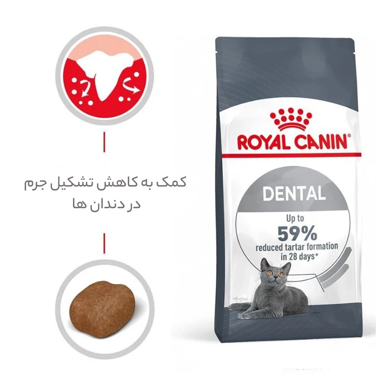 غذا خشک گربه رویال کنین مدل دنتال  1.5 کیلوگرم