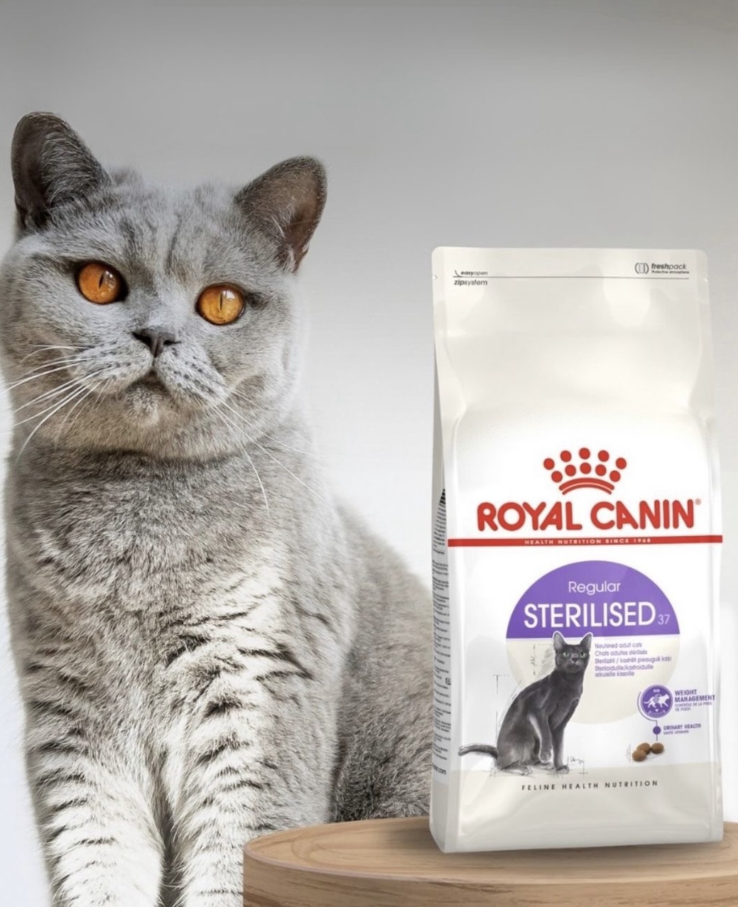 غذا خشک گربه رویال کنین مدل استرالایز فله ۵۰۰ گرم