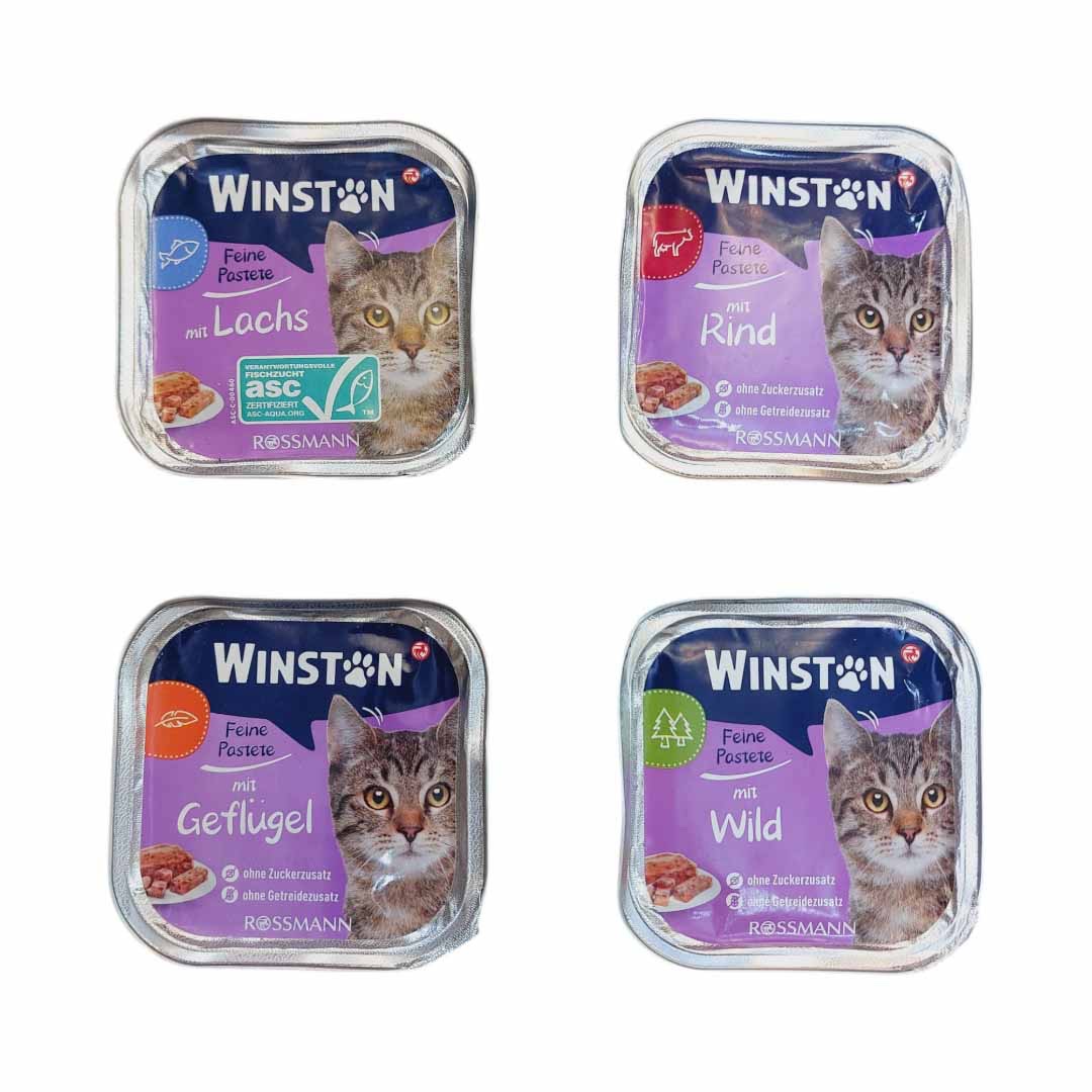 ووم گربه وینستون طعم ماهی ۱۰۰ گرم