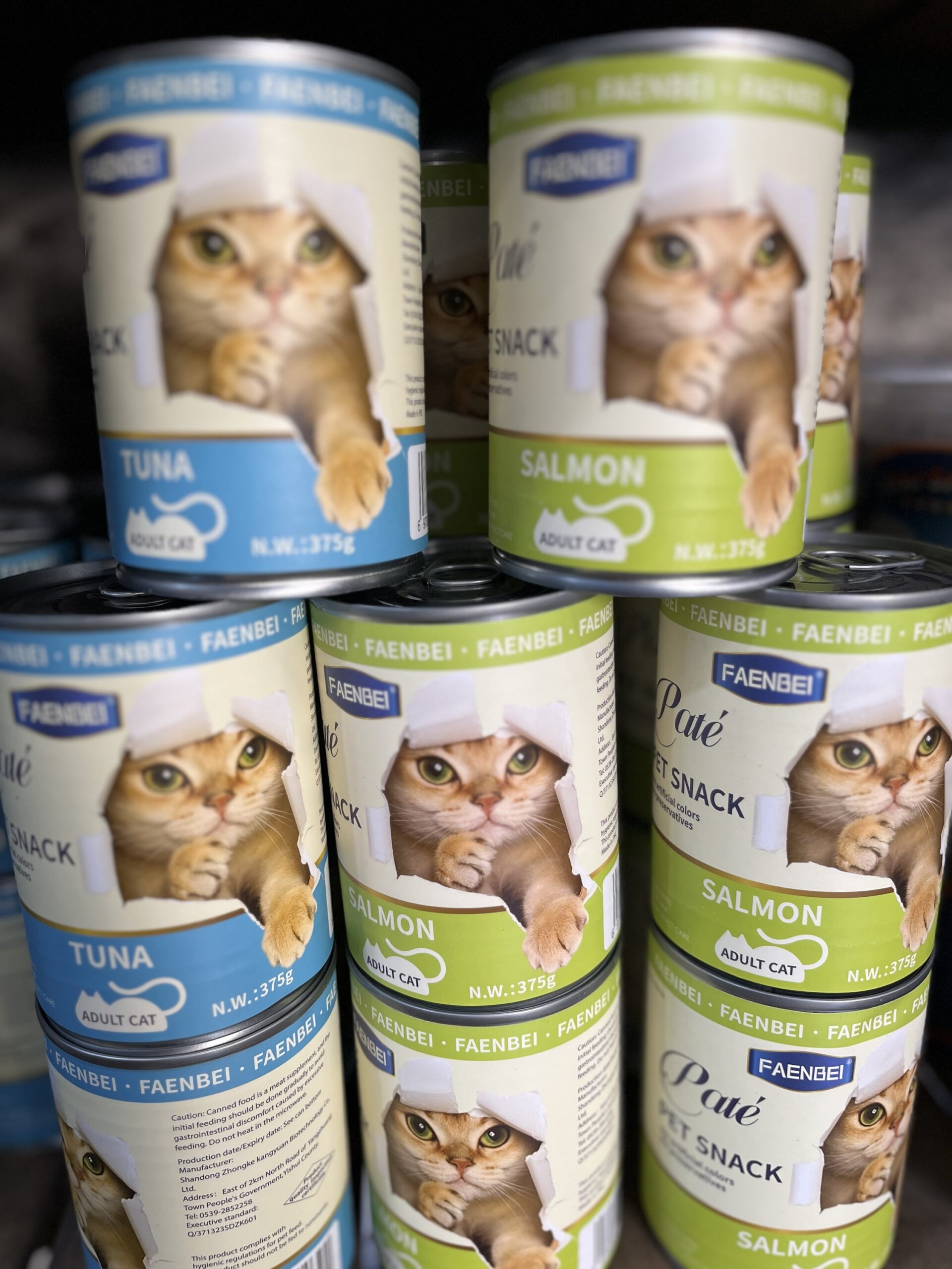 کنسرو دو عددی فنبی طعم تن و سالمون ۳۷۵ گرم