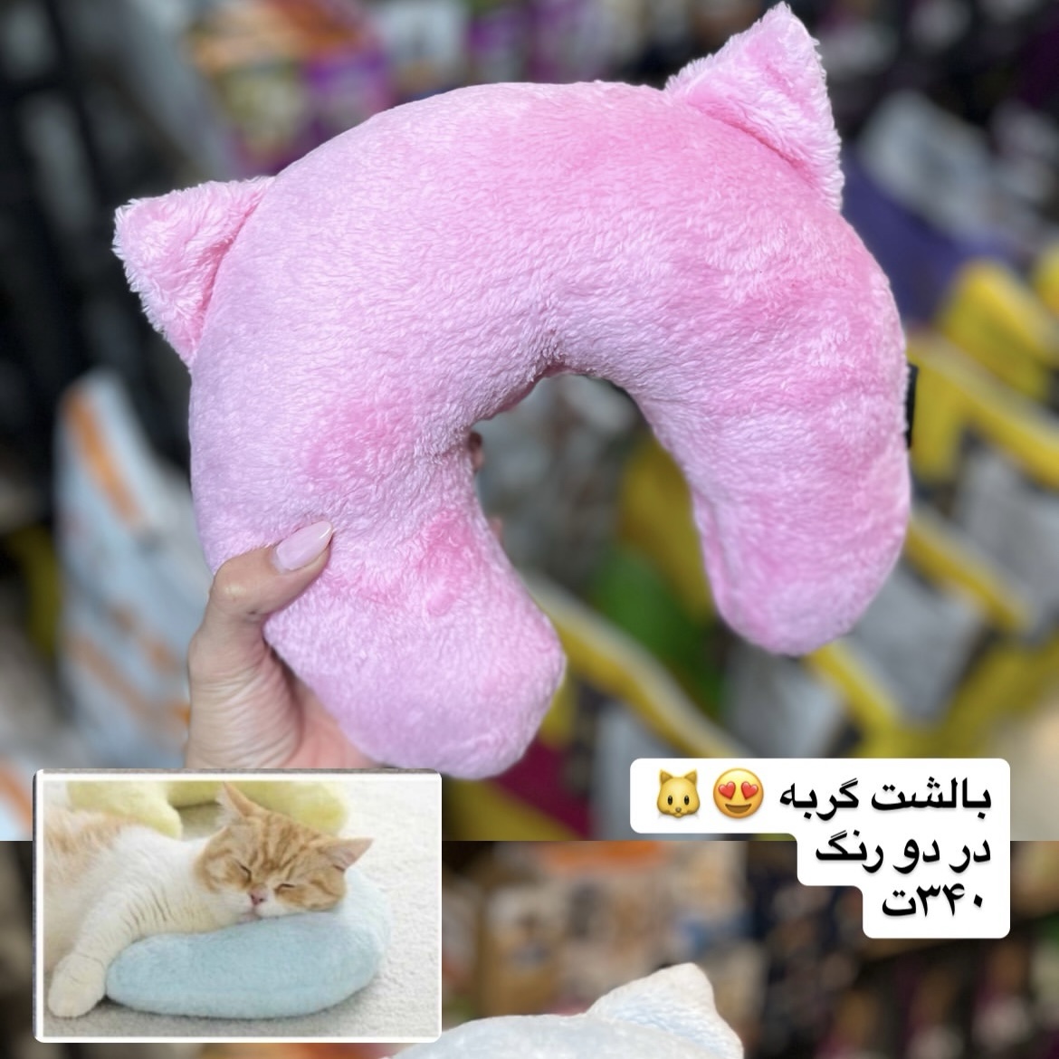 بالشت گربه