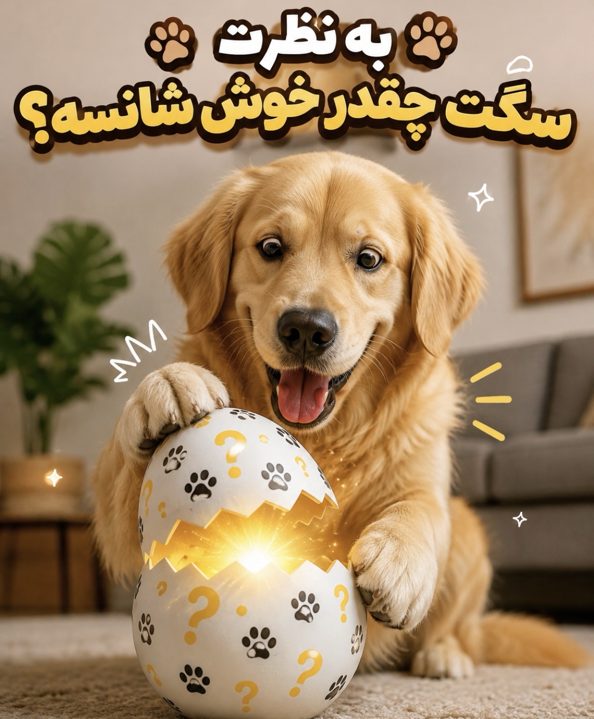 تخم مرغ شانسی سگ🥚🪄