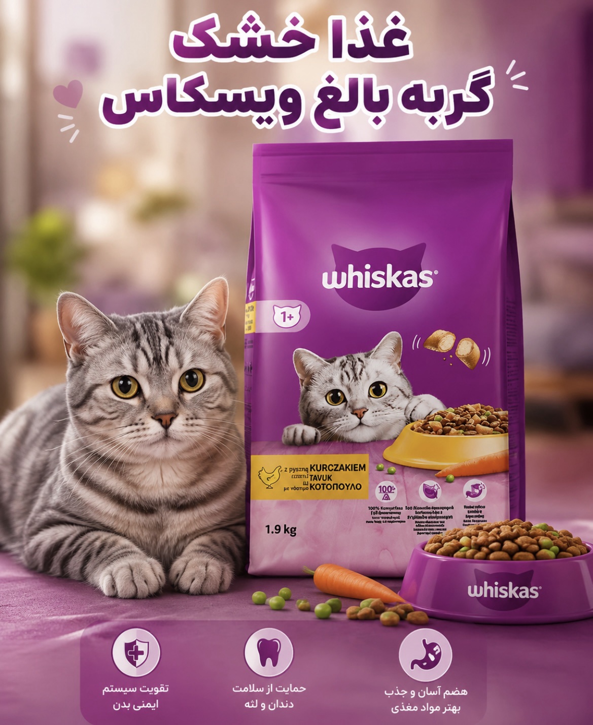 غذا خشک گربه ویسکاس بالغ وزن ۱.۹ کیلوگرم